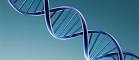 DNA | AutismSpot