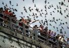 Bats, spying and attacks on Americans | Your View