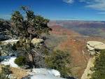 grand canyon (grand - via Daymix