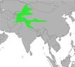 Himalayan Snowcock - Wikipedia, the free encyclopedia