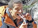 Bear Grylls