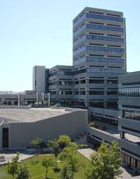 università ancona