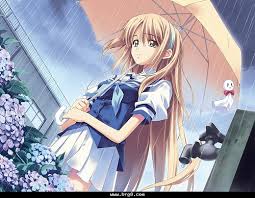 http://t2.gstatic.com/images?q=tbn:ANd9GcTLYChog78QIPQAHq6x3zpt-FmmRfaZqSf0zDeoTQSiObSnpxbr0g