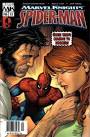 Marvel Knights Spider-Man 13 - Morry Hollowell, Steve McNiven - 13-1