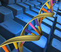 Montana State University - Bioinformatics Core Facility - Research ...