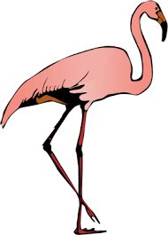 Ficha de Donquixote Doflamingo . Images?q=tbn:ANd9GcTM4x3jVuU24aopyaWUlFux9By1hpz9Qu1RuCfnKqDQ0p_q5kEM