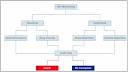 Immunosuppressive Drug Therapy