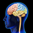 Diabetes drug makes brain cells grow