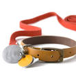 Discount Pet Supplies