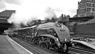 from the Up Fast platform; - via Daymix