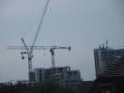 taken using the 15x optical zoom on my new Sony H50 digital camera. - via Daymix