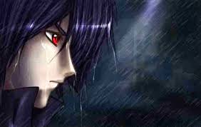 images?q=tbn:ANd9GcTMb9BUVENNyTc2MfyV2gfanbQWNXKp0oxb15xUEMlH49dKV_RByDfW0pTi