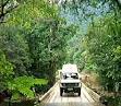 Experience the Daintree Rainforest | Latitude Travel ServicesHTML Online Editor Sample