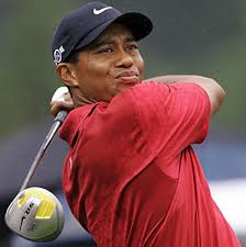 Tiger Woods Incar Tour Championsip