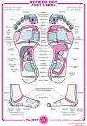 Free Foot Reflexology Chart