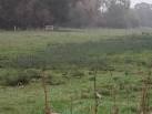 Marsh Land alongside The Beck - via Daymix