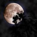 Beautiful Moon Tonight... | Flickr - Photo Sharing!