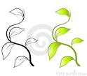 Royalty Free Stock Photo  Green Leaves Vine Clip Art