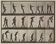muybridge_leapfrogplate.jpg?w= ...