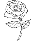 Rose Coloring Pages | Coloring Ville
