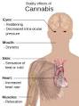Cannabis (drug) - Wikipedia, the free encyclopedia