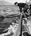 Fishing industry - Te Ara Encyclopedia of New Zealand