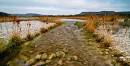 Independence Creek Preserve | The Nature Conservancy