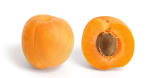 File:Apricot and cross section.jpg - Wikipedia, the free encyclopedia
