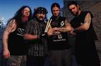 Pantera Picture 2