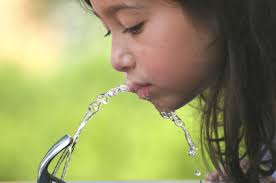 More Girls Reaching Puberty at 7 & 8 Yrs. Old – It’s in the Water…Really!
