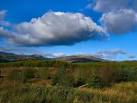 The picture was taken from a forestry track near to the Loch of Lowes Strand - via Daymix