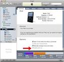 How do I transfer a Works document to my iPod?
