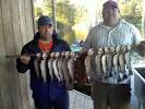 Angler's White River Resort: 3