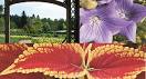 Horticulture Technology — Central Piedmont Community College