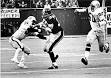 History Release » The Immaculate Reception