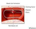 Blood clot formation