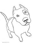 Bull coloring page