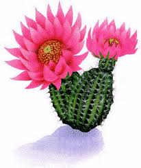 images?q=tbn:ANd9GcTP-fGNvfPrARckhG40dgd5VWQS7Gnb1gpOeLyyDHNpLKqQk7c8yQ Marian MALCIU - "Sunt…" (poem)