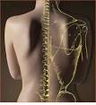 HealthQuest Chiropractic &amp; Wellness Center | Kirkland-Juanita ...
