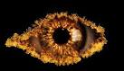 CELEBRITY BIG BROTHER housemates revealed | Television & radio ...