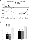 Alcohol induced facial dysmorphology in C57BL6 mouse models of