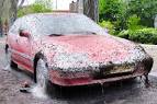 Scary Caterpillars Attack Honda Civic