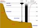 abyssal zone