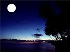 Moonlight