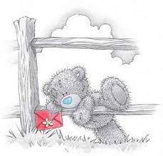 Teddy message