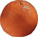 fruit: Definition, Synonyms from Answers.