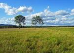 File:Shawangunk Grasslands NWR.jpg - Wikipedia, the free encyclopedia