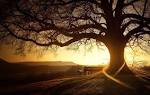 beautiful scenery of nature