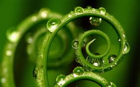 http://t2.gstatic.com/images?q=tbn:ANd9GcTQ4gPEEIUZoXjJ6dtBf9KsO0CjMlcWgtzibCFSAoDUrDLpU7Rhng