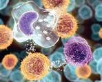 Cytokines, Inflammation and Sleep | Clinical Nutrition | Treatments